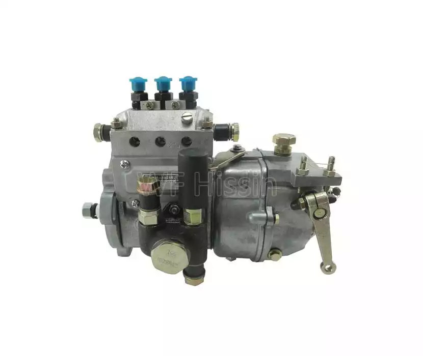 Injection pump TY3100